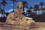 Giza. Sfinks z Sakkary (alabastrowy sfinks)