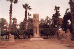 Memfis. Posąg Ramzesa 2